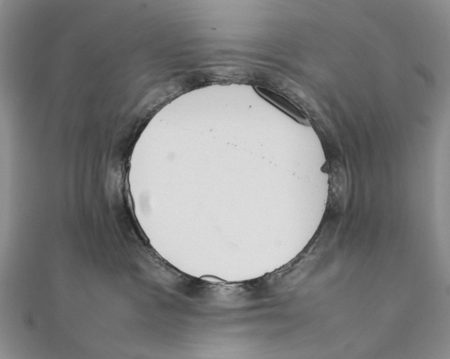X0000111390333200908071301