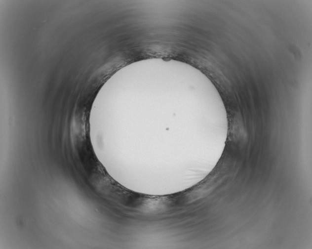 X0000111390334200908071301