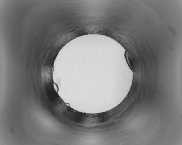 X0000111390335200908071301