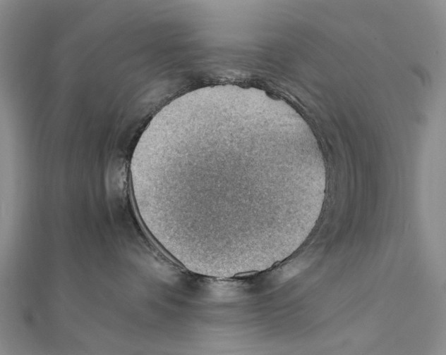 X0000111390336200908071301