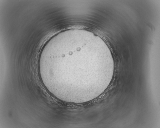 X0000111390337200908071300