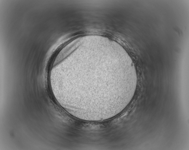 X0000111390343200908071300