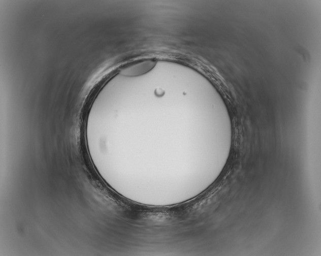 X0000111390344200908071300
