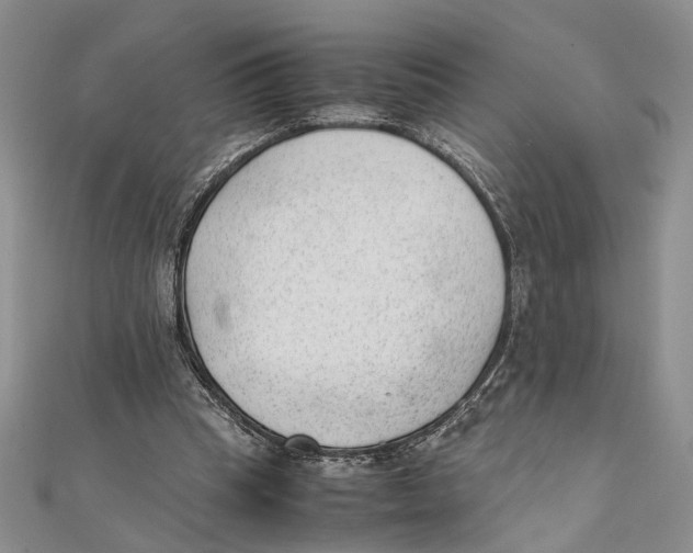 X0000111390345200908071300