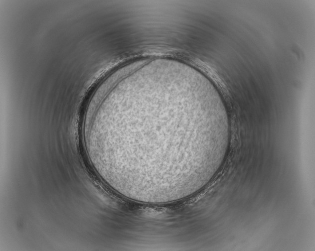 X0000111390346200908071300