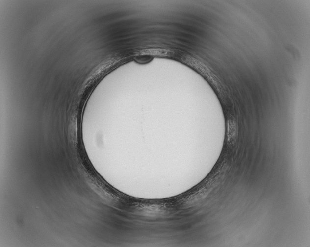 X0000111390349200908071300