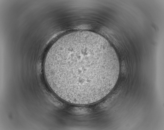 X0000111390351200908071300