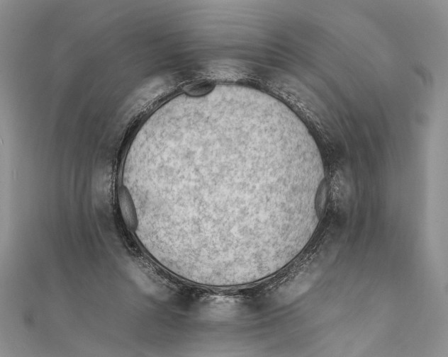 X0000111390352200908071300