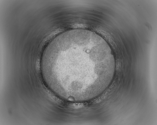 X0000111390353200908071300