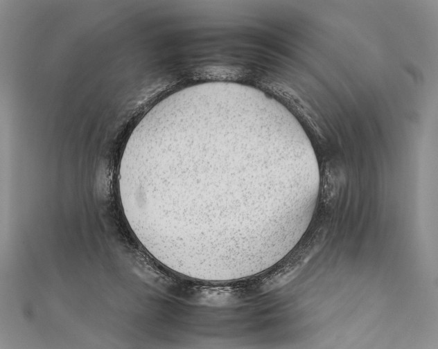 X0000111390355200908071300