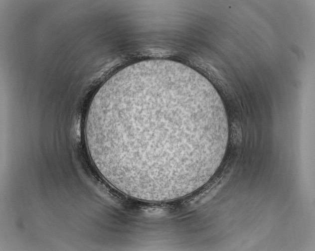 X0000111390358200908071300