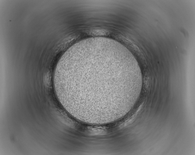 X0000111390359200908071300