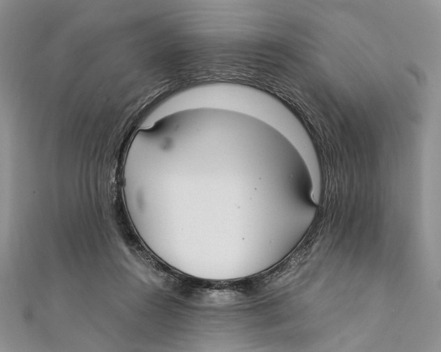 X0000111390360200908071300