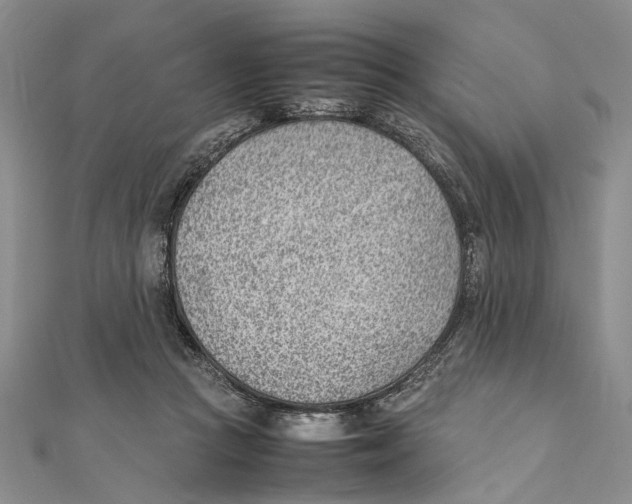 X0000111390361200908071300
