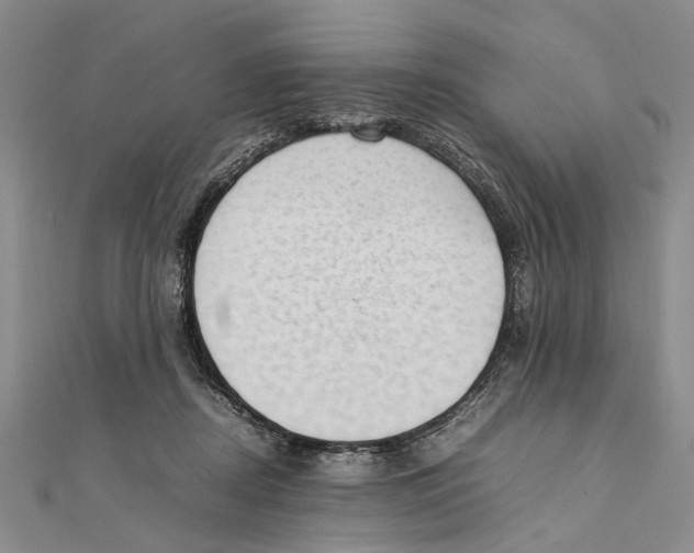 X0000111390362200908071300