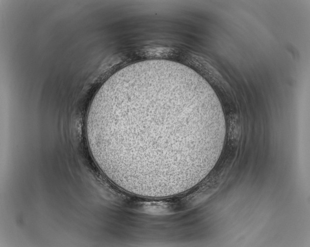 X0000111390363200908071300