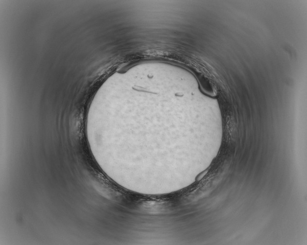 X0000111390364200908071301