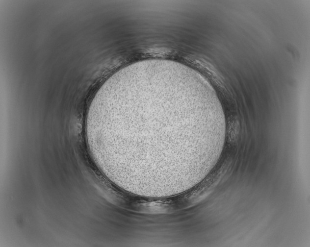 X0000111390365200908071301