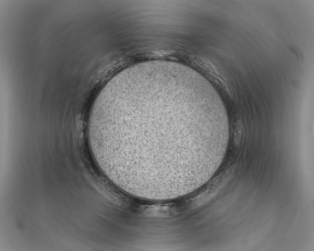 X0000111390366200908071301