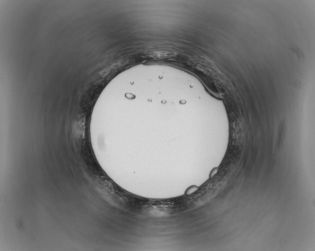 X0000111390368200908071301