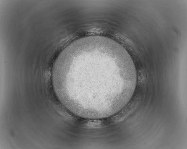 X0000111390369200908071301