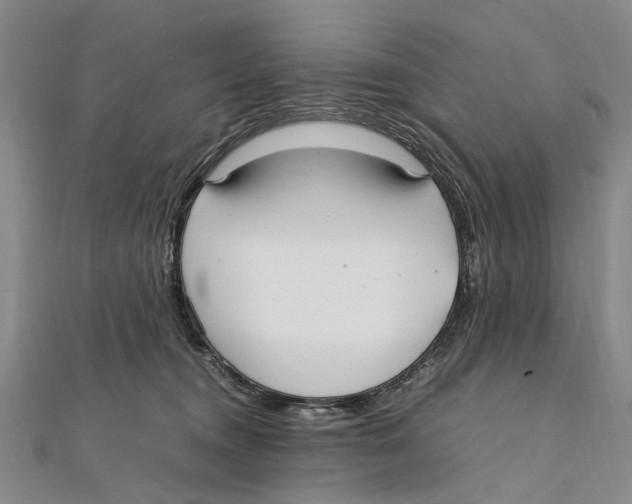 X0000111390372200908071301