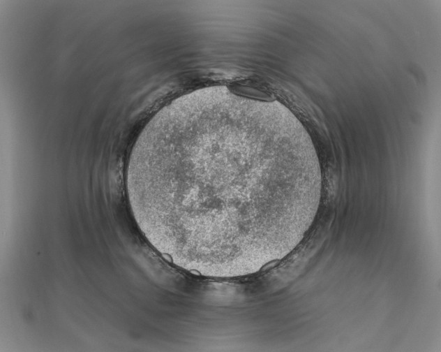 X0000111390376200908071301