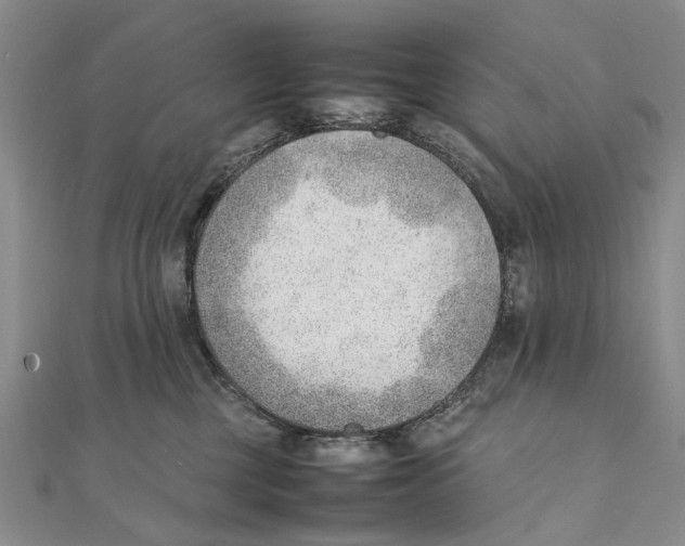 X0000111390377200908071301