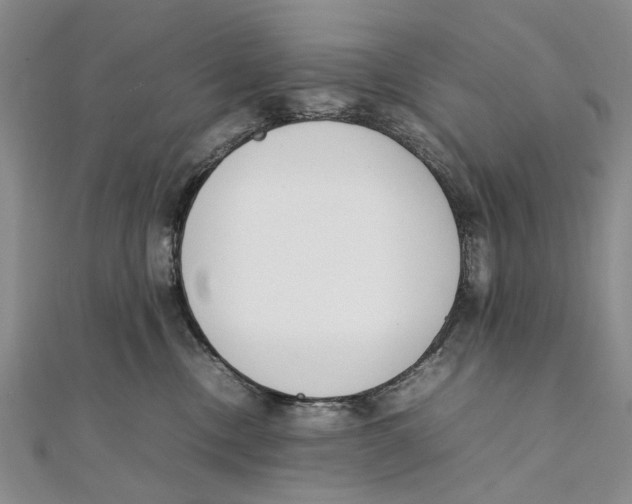 X0000111390378200908071301