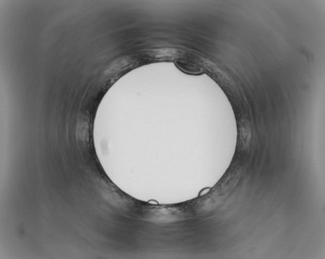 X0000111390379200908071301