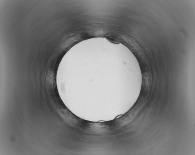 X0000111390380200908071301