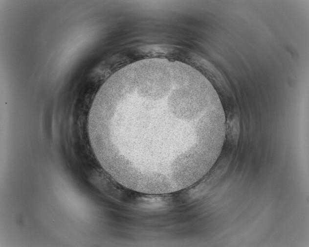 X0000111390381200908071301