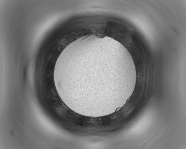 X0000111390383200908071301