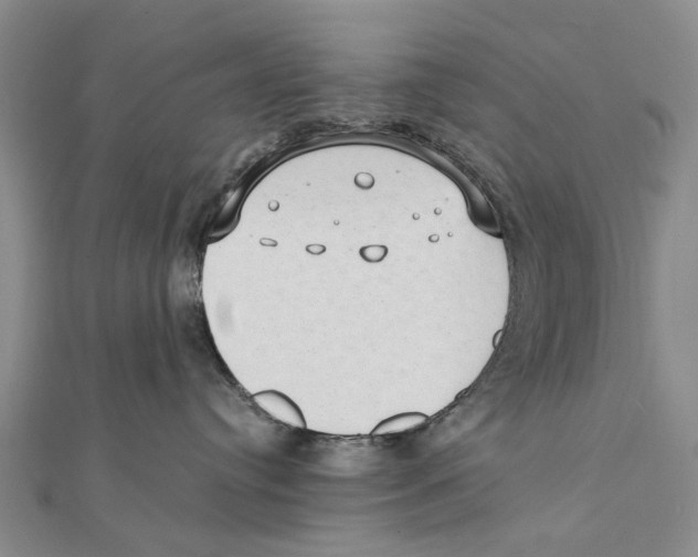 X0000111390384200908071301