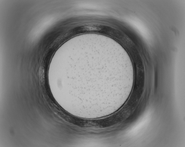 X0000111390387200908071300