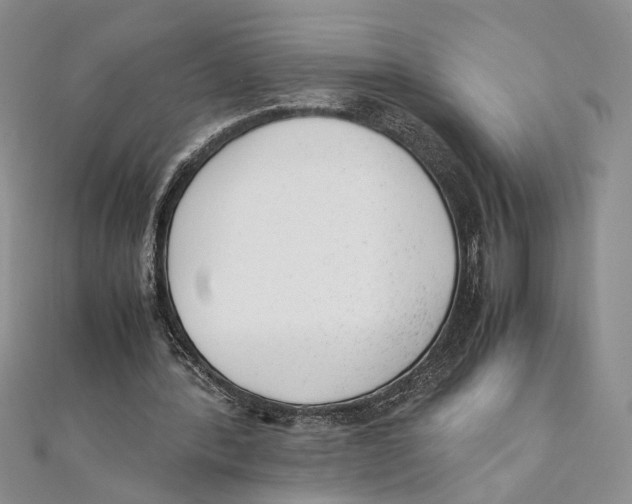 X0000111390388200908071300