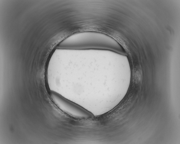 X0000111390389200908071300
