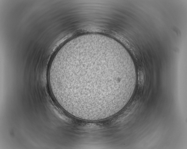 X0000111390390200908071300