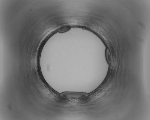 X0000111390391200908071300