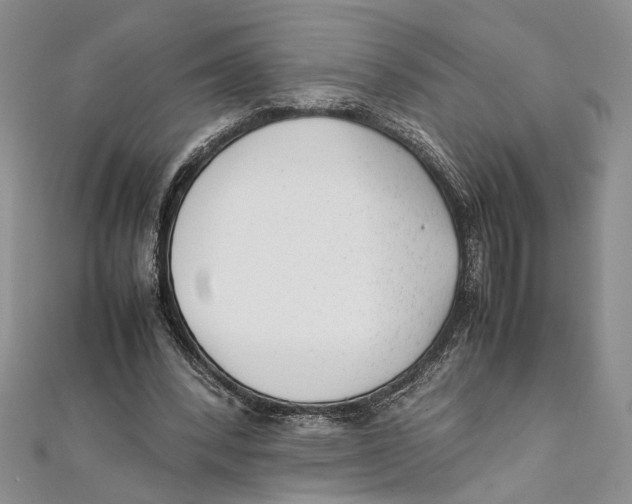 X0000111390392200908071300
