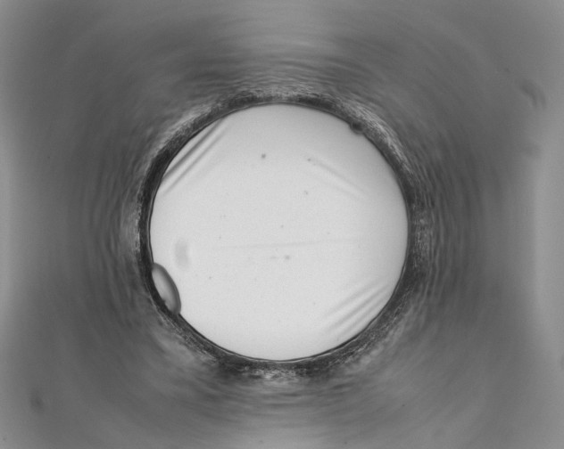 X0000111390395200908071300