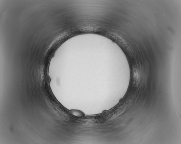 X0000111390396200908071300