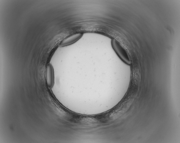 X0000111390397200908071300