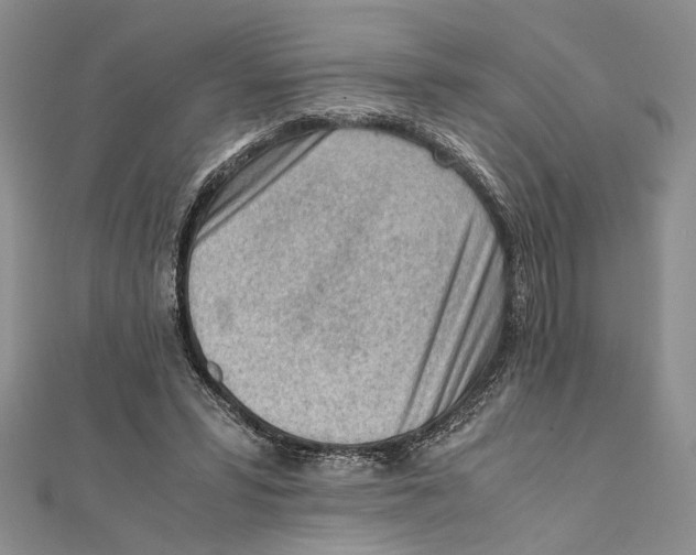 X0000111390399200908071300