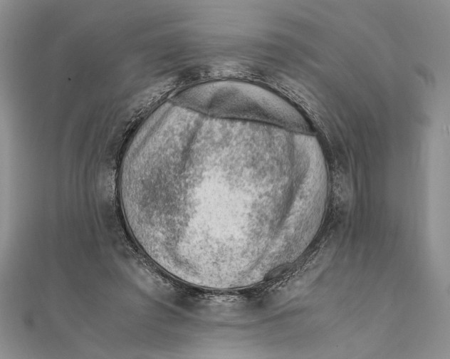 X0000111390401200908071300