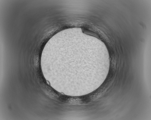 X0000111390403200908071300