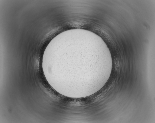 X0000111390404200908071300