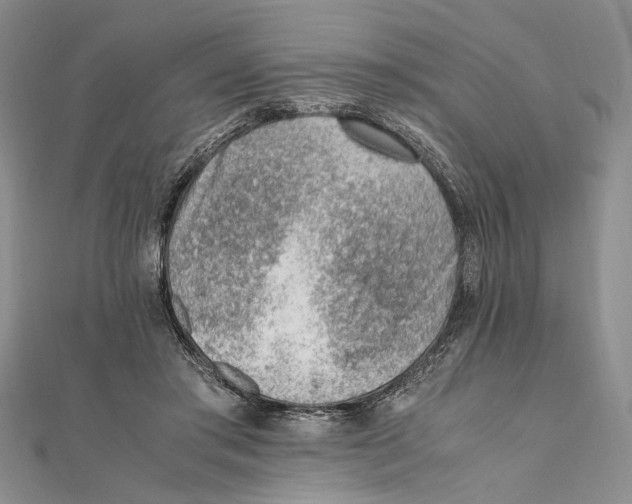 X0000111390405200908071300