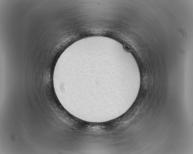 X0000111390407200908071300