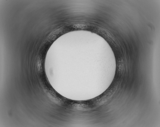 X0000111390408200908071300